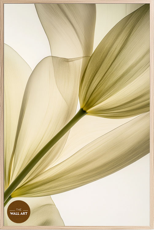 images/products/transparent_leaves_i/transparent_leaves I_OAK_P.jpg